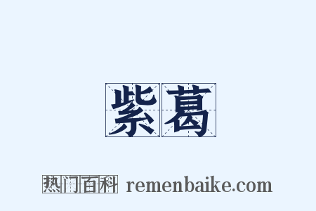 紫葛是什么意思的图片